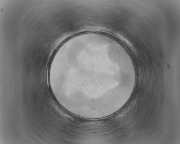 X0000060571272200512011658