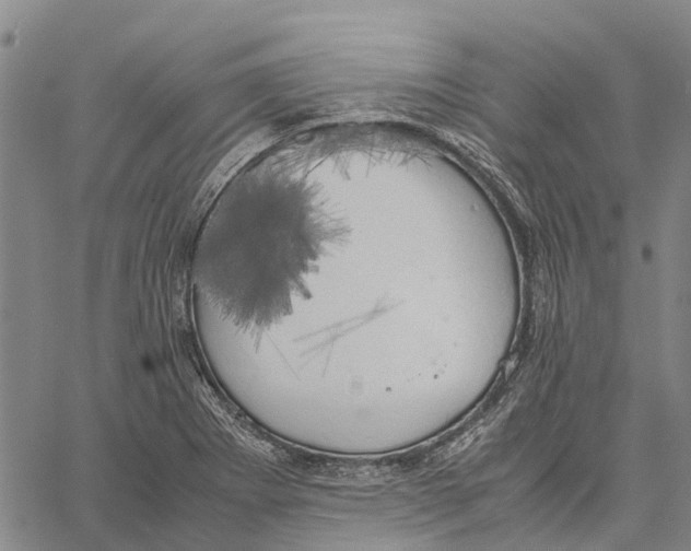 X0000060571273200512011658