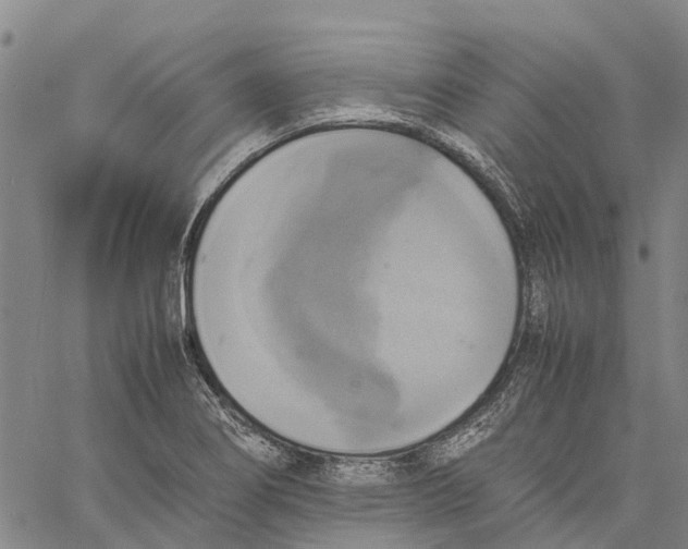 X0000060571274200512011658