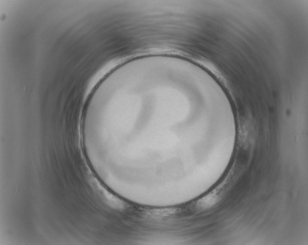 X0000060571294200512011658