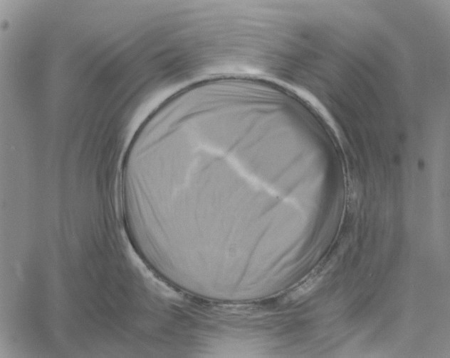 X0000060571295200512011658