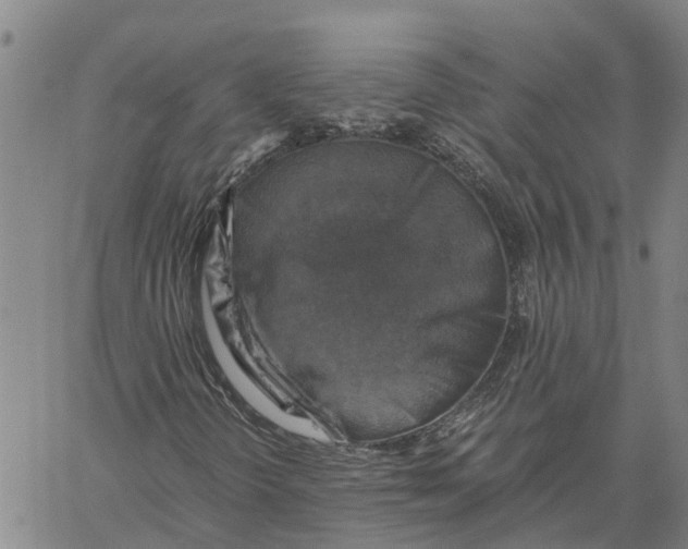 X0000060571298200512011657