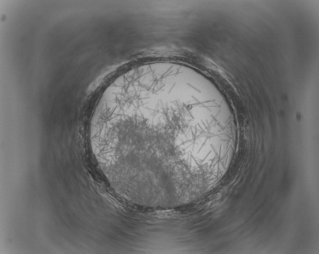X0000060571304200512011657