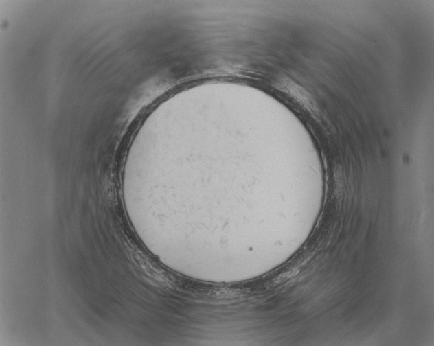 X0000060571308200512011657