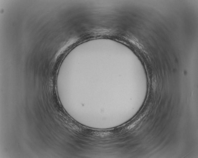 X0000060571309200512011657