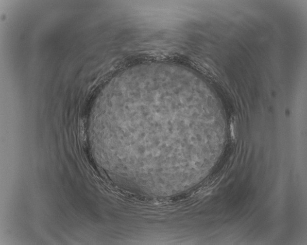 X0000060571347200512011657