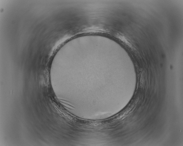 X0000060571358200512011657