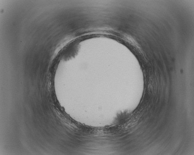 X0000060571360200512011657