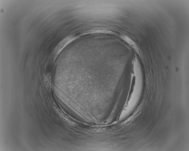 X0000060571369200512011656