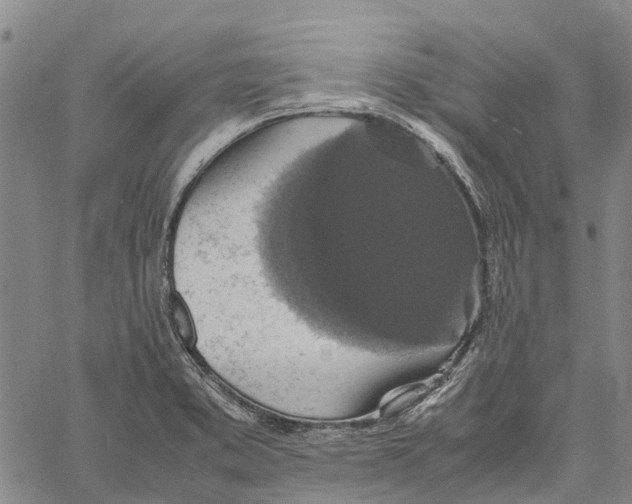 X0000060571373200512011656