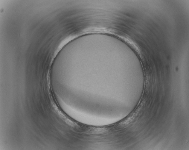 X0000060571382200512011656
