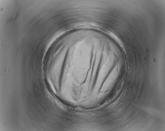 X0000060571384200512011656