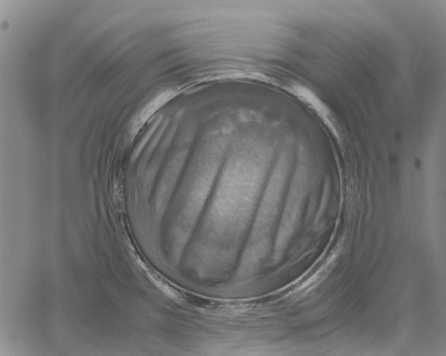 X0000060571385200512011656