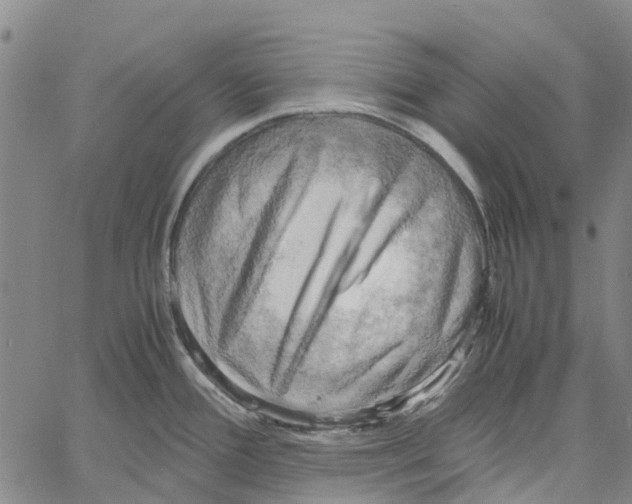 X0000060571388200512011656