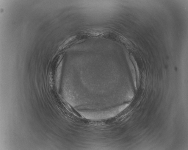 X0000060571394200512011655