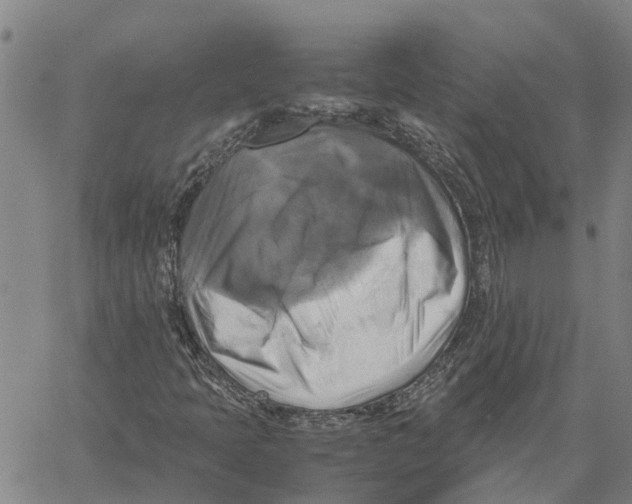 X0000060571397200512011655
