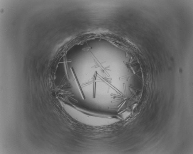 X0000060571398200512011655