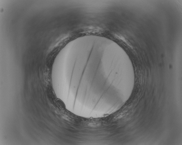 X0000060571399200512011655