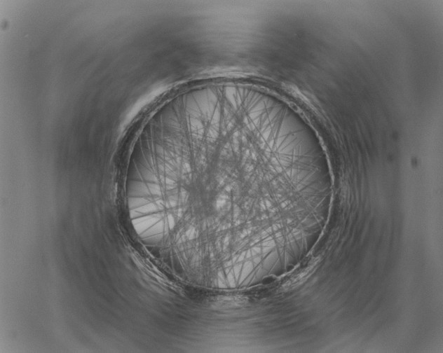 X0000060571406200512011655