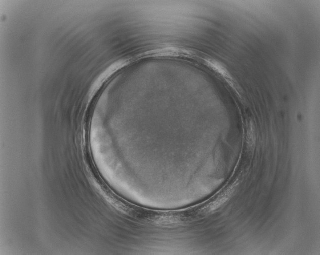 X0000060571418200512011656