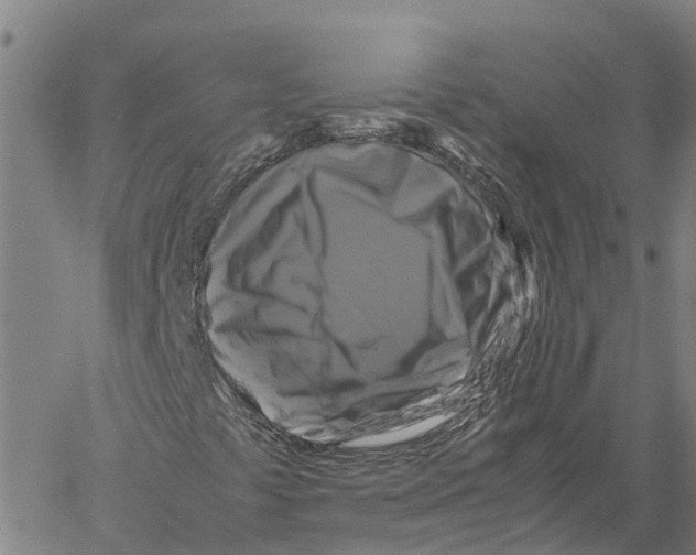 X0000060571441200512011655