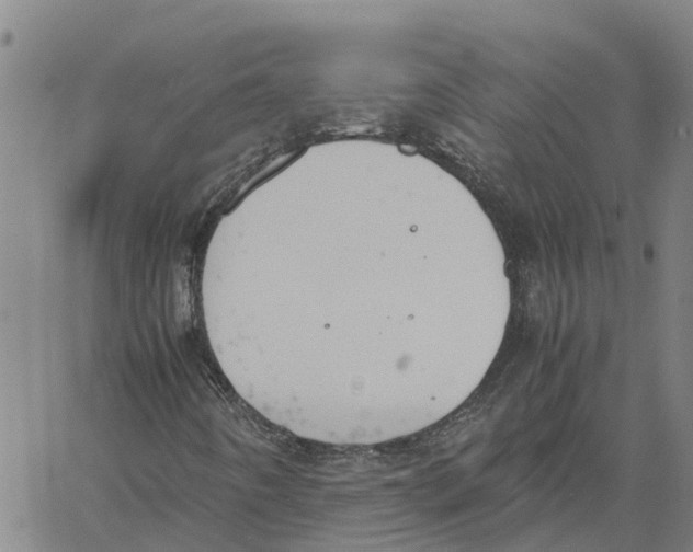 X0000060571442200512011655