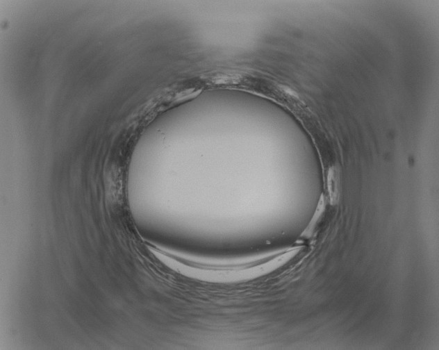 X0000060571443200512011655