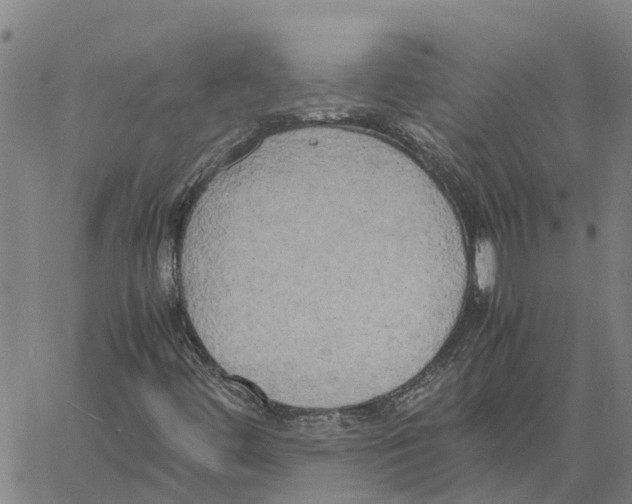 X0000060571444200512011655
