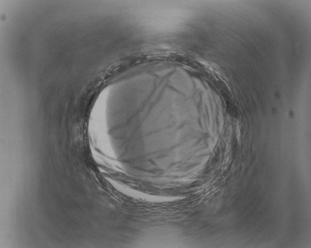 X0000060571445200512011655