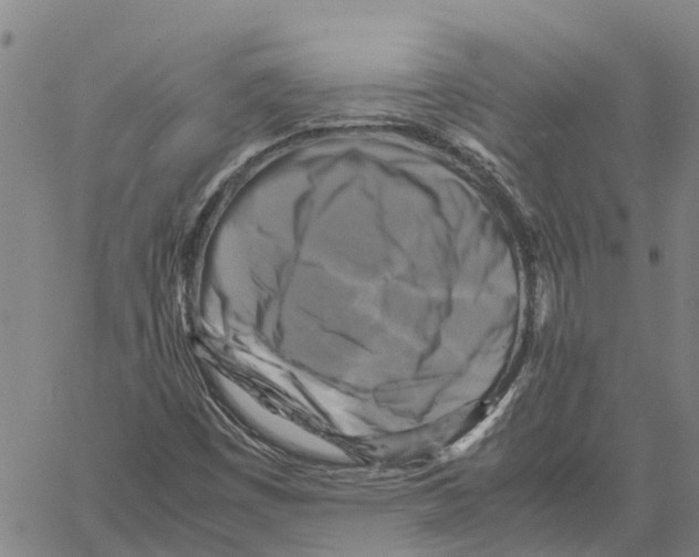 X0000060571449200512011655