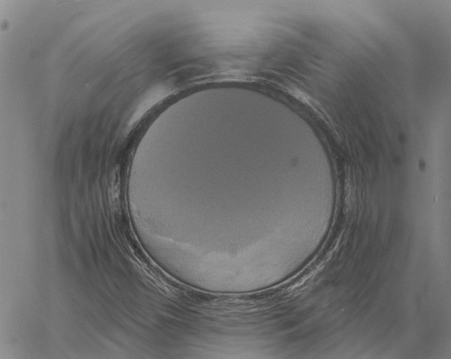 X0000060571450200512011655