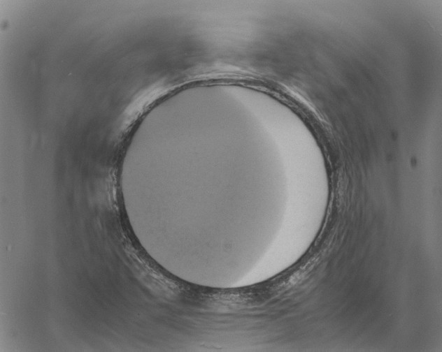 X0000060571455200512011655
