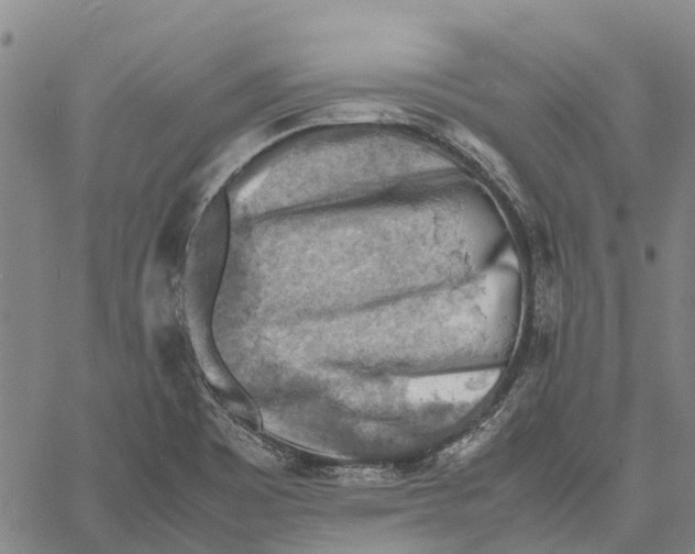 X0000060571465200512011655