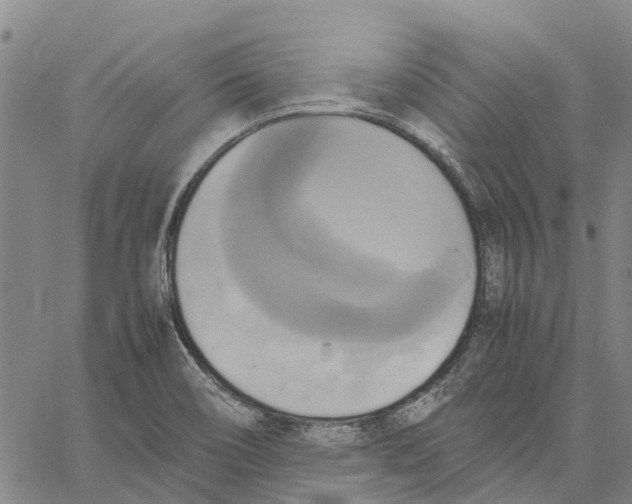 X0000060571466200512011655