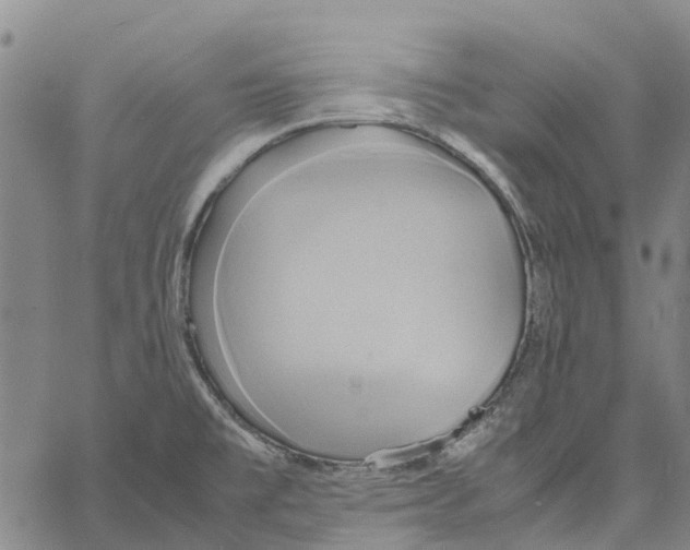 X0000060571477200512011655