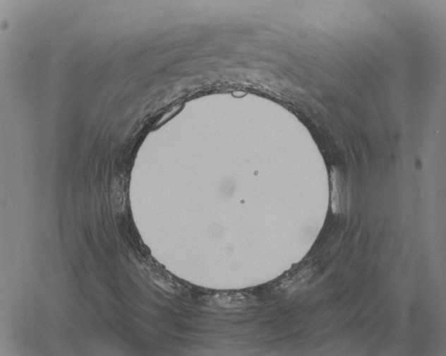 X0000060571491200512011654