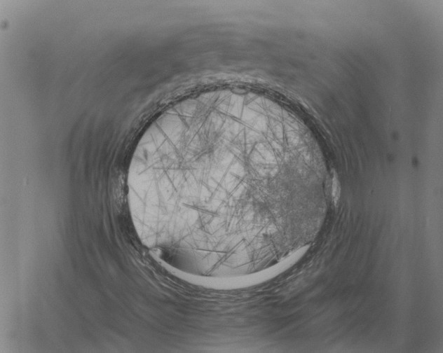 X0000060571492200512011654