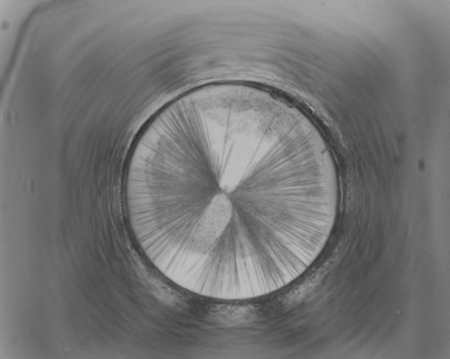 X0000060571513200512011654