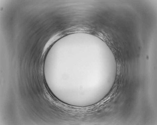 X0000060580004200511030931