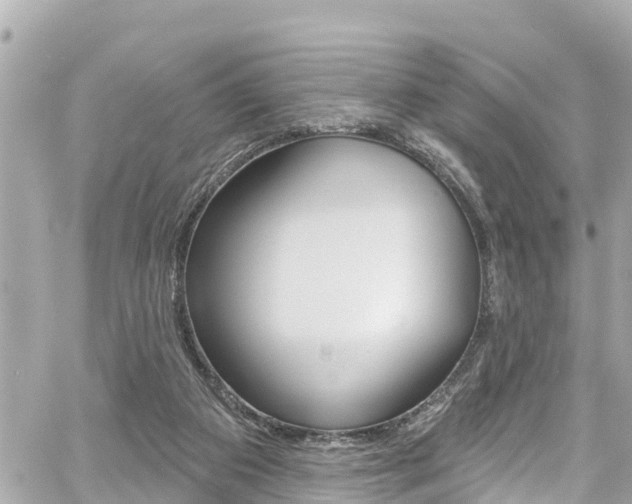 X0000060580113200511030929