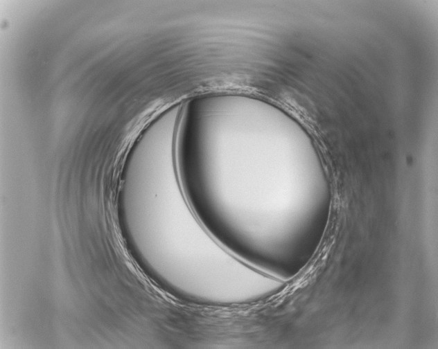 X0000060580193200511030928