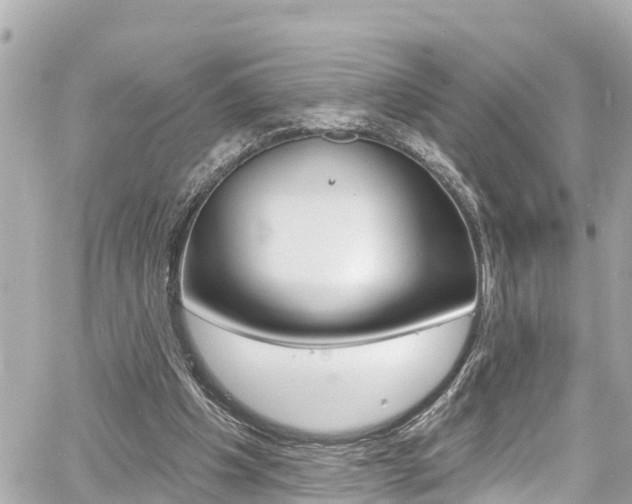 X0000060580201200511030927