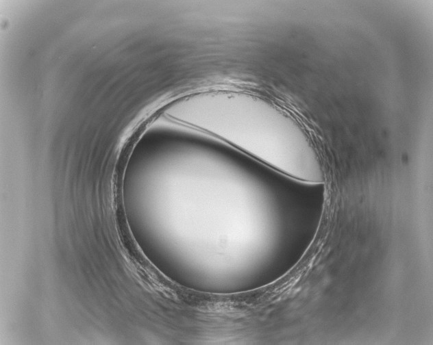 X0000060580244200511030926