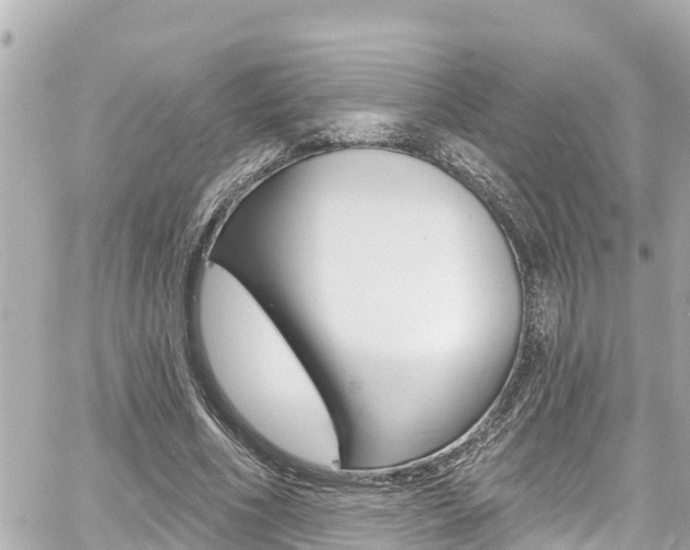 X0000060580586200511030921