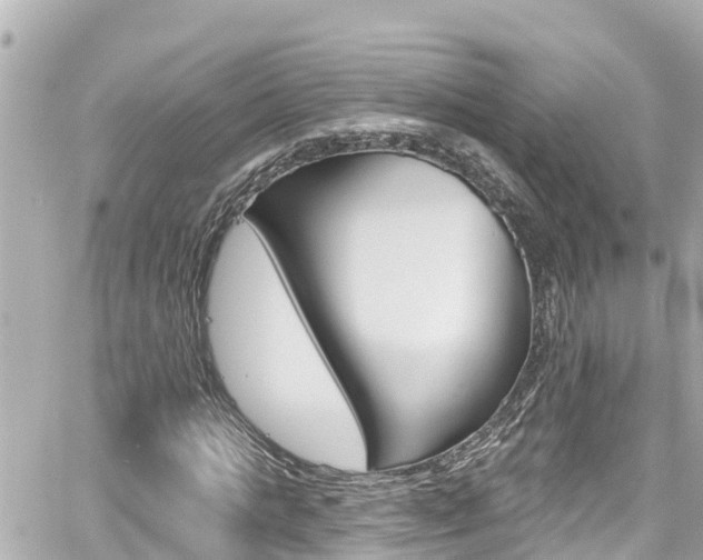 X0000060580821200511030916