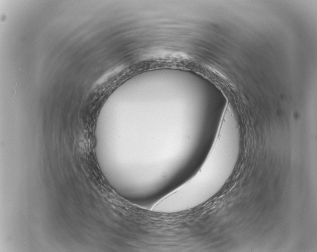 X0000060580869200511030916