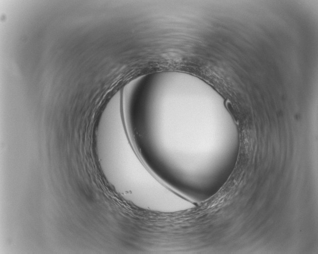 X0000060581057200511030913