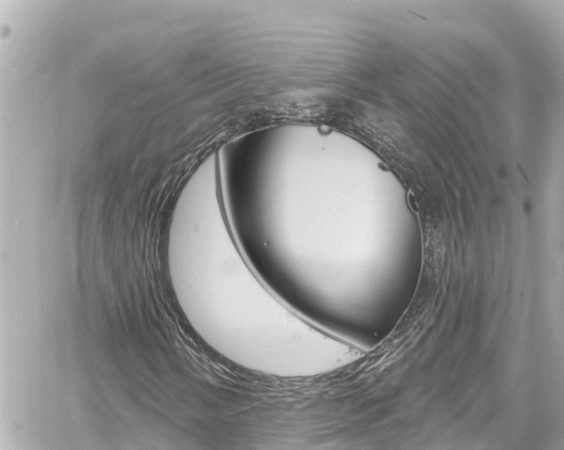 X0000060581058200511030913