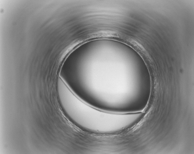 X0000060581081200511030912