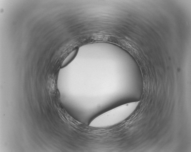 X0000060581154200511030911